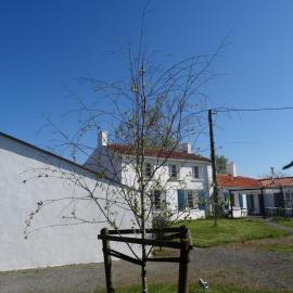 Auberge BonBeauJoli