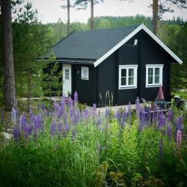 Fröya Timber Cottage, hotel a Arvika