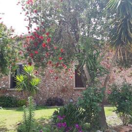 Agriturismo Pingitore, hotell sihtkohas Luzzi