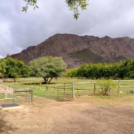 De Bos Backpackers, hotel sa Montagu