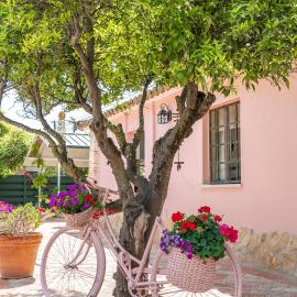 Quinta Aida Cottage and B&B Suites, hotel em Lagoa