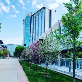 SAIT Residence & Conference Centre - Calgary, hotel in Calgary