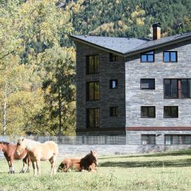 Apartaments Turístics Prat de Les Mines, Hotel in Ordino