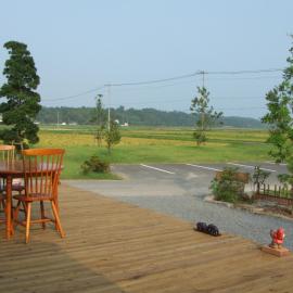 Guesthouse Suzukaze, hotel em Shibushi