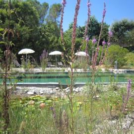 La Villa Les Hespérides, Hotel in Grimaud