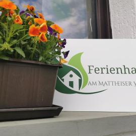 Ferienhaus am Mattheiser Wald, отель в Трире