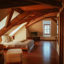 Hotel Stein Elbogen, hotel in Loket