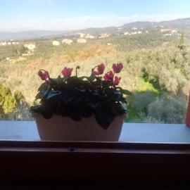 B&B Vallata, hotelli kohteessa Lamporecchio