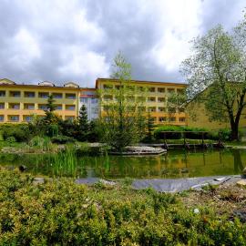 Lipno Wellness - Frymburk C 401