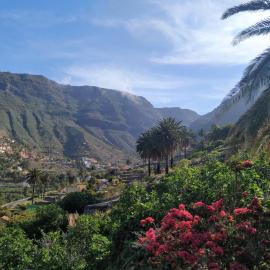 Finca La Ladera