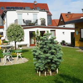 Pension Nr. 13 - B&B, hotel in Pirna