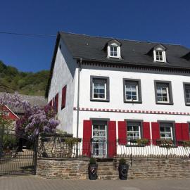 Alter Winzerhof, hotelli kohteessa Hatzenport