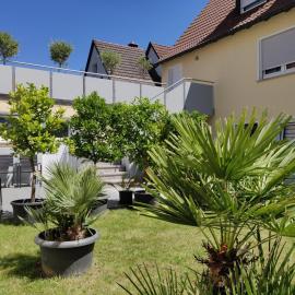 Haus zum Schlosspark, hotel em Veitshöchheim