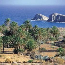 isleta del Moro Daniel