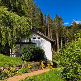 Surrbach Chalet, hotel in Baiersbronn