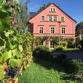 Wein-Hotel Auberge Mistral, Hotel in Freiberg