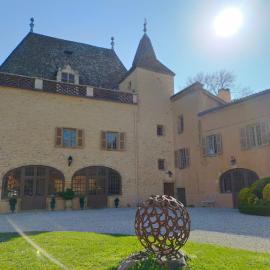 Château de la Venerie، فندق في Denicé