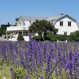 Villa Neptuni rumsuthyrning, hotel a Byxelkrok