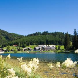 Hotel Teichwirt, hotel en Fladnitz an der Teichalm