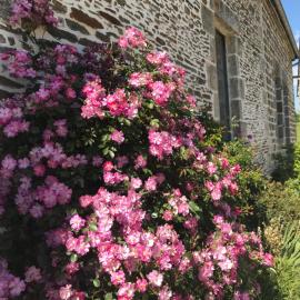 La Corbonniere, hotel u gradu 'Geneslay'