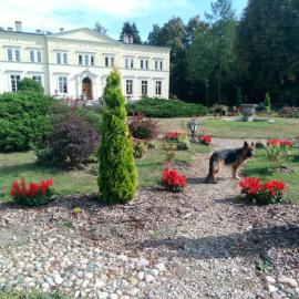 Pałac Kwilecki -AGROTURYSTYKA PREMIUM & SPA