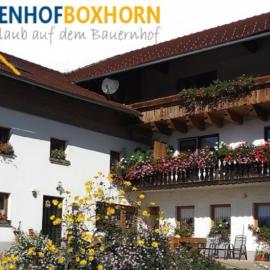 Woferlhof, Ferienhof Boxhorn