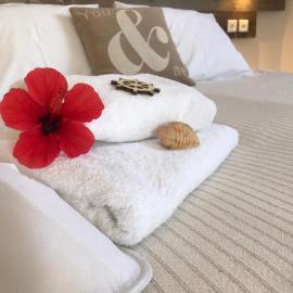 Ammos Luxury Studios, hotelli kohteessa Aliki