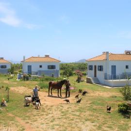 Stamna Farm