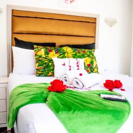 Sinesan Guesthouse, hotel en Vereeniging
