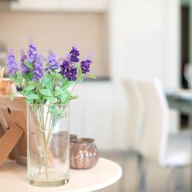 Lavender Bay Apartment B13