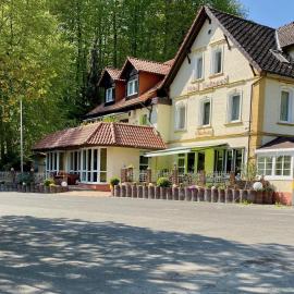 Hotel Elfenberg, ξενοδοχείο σε Schieder-Schwalenberg
