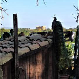 B&B Villa San Marco, khách sạn ở Agrigento