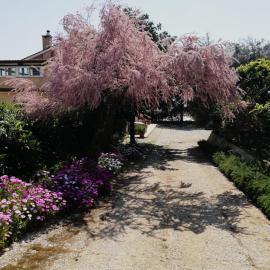 Casa Noemi, ξενοδοχείο σε Sperlonga
