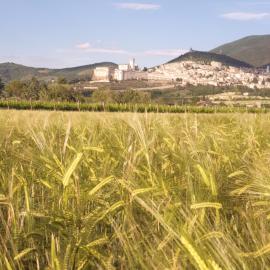 B&B Domus Benedicta