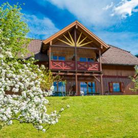 Familien-Appartements Örglwirt's Gut