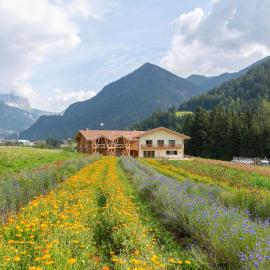 Eco-Green Fiores Agriturismo – hotel w mieście Vigo di Fassa