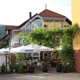 Hotel- Restaurant Zum Schwan, Hotel in Waldfischbach-Burgalben