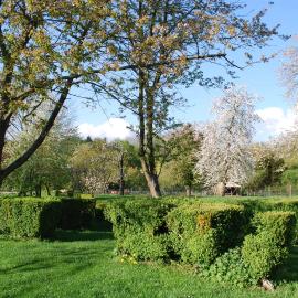 Gites aux Fleurs de Cerises