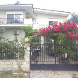 Sofia's Cottage