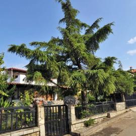 Private home with spacious garden & veranda - Flogita beach