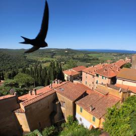Anitta GuestHouse, hotel in Castagneto Carducci