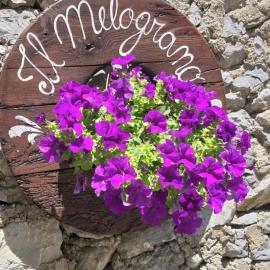 Viesnīca B&B Il Melograno pilsētā Tortorella