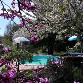 Il Ciliegio del Pellegrino, hotel em Gubbio