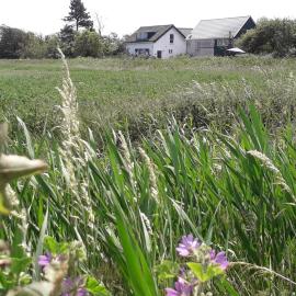in de Boomgaard