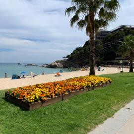 Apartamento en Torre Valentina, la mejor playa!