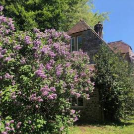 Beautiful converted Stable in peaceful Somerset, close to the Jurassic Coast
