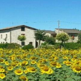 Agriturismo"Il Sagrato di Assisi" appartamenti,camere