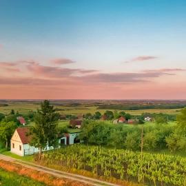 Village Wine House, hotel a Mandičevac
