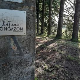 Château de Mongazon، فندق في Saint-Franchy