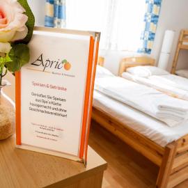 Aprico, hotell sihtkohas Traismauer